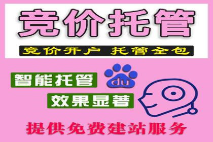 SEM优化公司助力企业实现线上营销新高度